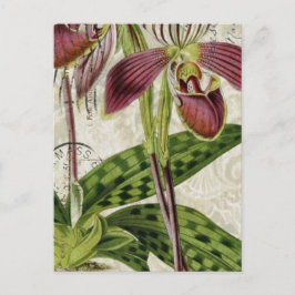 romantisch-parisianisch-französisch-botanisch-orch postkarte