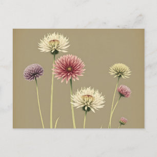 Romantische Allium Blumen Vintage Postkarte