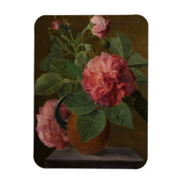 Romantische Alte Englische Rose Magnet