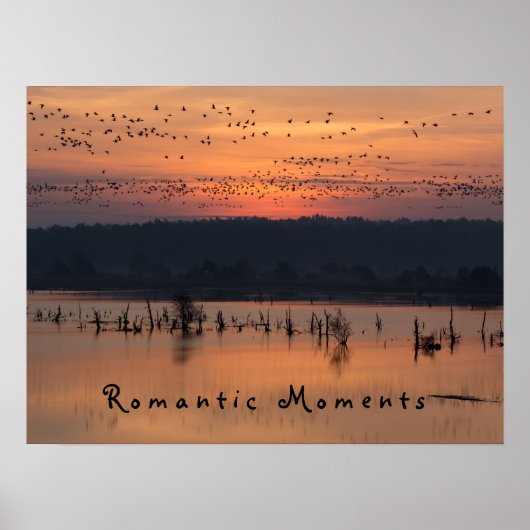 Romantische Augenblicke Vögel bei Sonnenaufgang Fo Poster (Vorne)