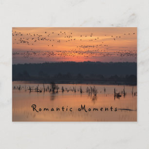 Romantische Augenblicke Vögel bei Sonnenaufgang Fo Postkarte