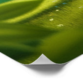 Romantische Baumcoupel Monogram Poster (Ecke)