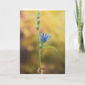 Romantische Bäume & Blumen – Botanische Fantasy Bo (Rückseite)