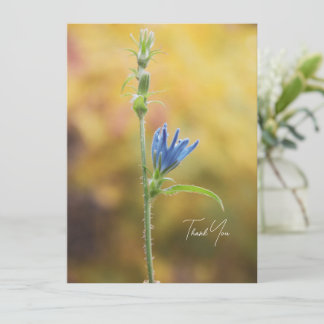 Romantische Bäume und Blumen – Botanische Fantasy