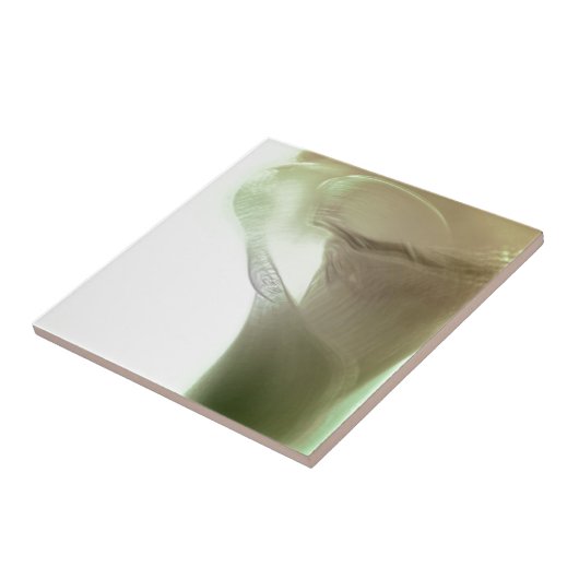 Romantische Blume Fliese (Seite)