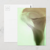 Romantische Blume Postkarte (Vorne/Hinten)