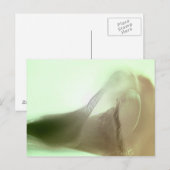 Romantische Blume Postkarte (Vorne/Hinten)