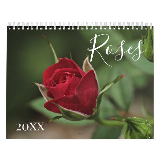 Romantische Blume Rose Kalender (Titelbild)