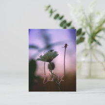 Romantische Blumen Boho – Botanische Fantasie Dank