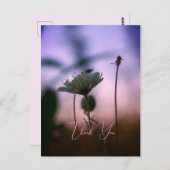 Romantische Blumen Boho – Botanische Fantasie Dank Postkarte (Vorne/Hinten)