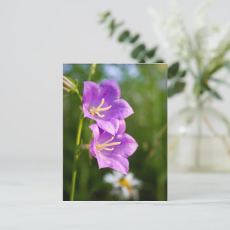 Romantische Blumen – Botanische Fantasie Boho Postkarte