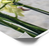 Romantische Creme & Lilac Orchids Poster (Ecke)