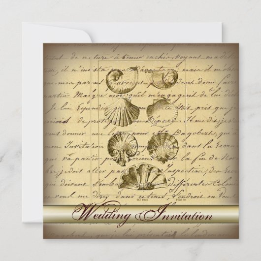 Romantische Elegant Seashell Beach Hochzeit Einlad Einladung (Vorderseite)