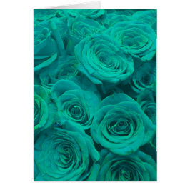 Romantische elegante aquamarine - grüne Rose
