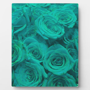 Romantische elegante aquamarine - grüne Rose Fotoplatte
