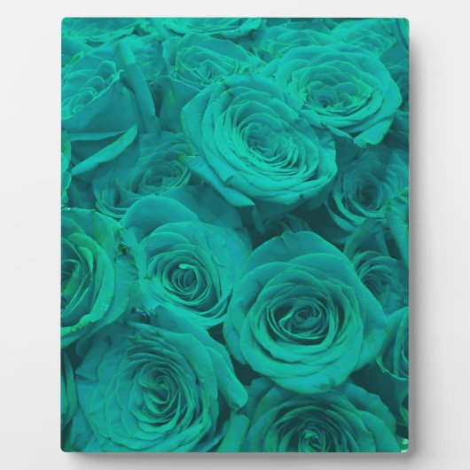 Romantische elegante aquamarine - grüne Rose Fotoplatte (Vorderseite)