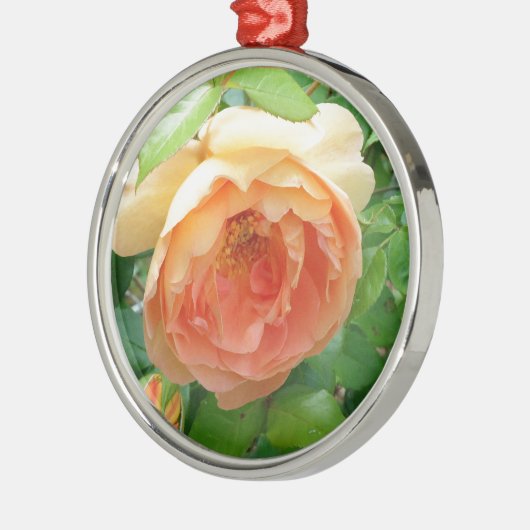 Romantische elegante Orange-Rose Ornament Aus Metall (Links)