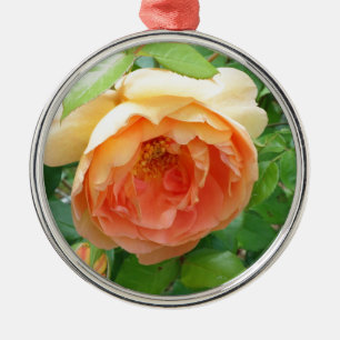 Romantische elegante Orange-Rose Ornament Aus Metall