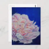 Romantische elegante rosa blaue Pastellfarben Postkarte (Vorne/Hinten)