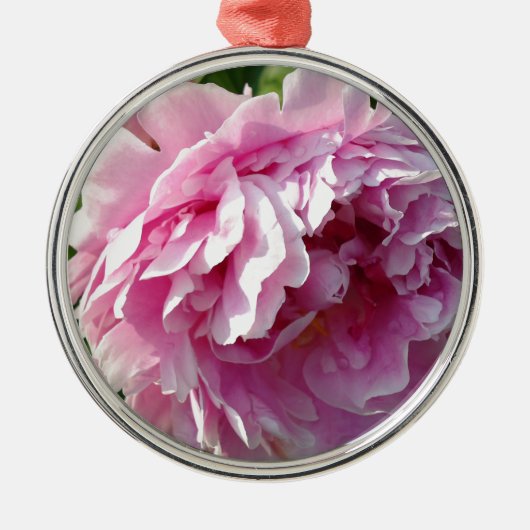 Romantische, elegante rosafarbene, blühende Pink P Silbernes Ornament (Vorne)