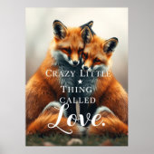 Romantische Fox-Liebe Poster (Vorne)