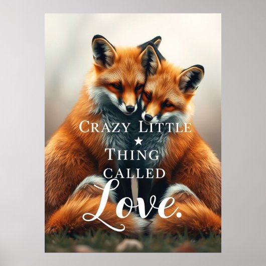 Romantische Fox-Liebe Poster (Vorne)