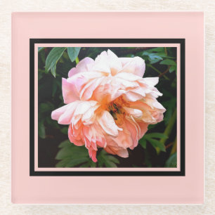 Romantische Frühlingspferde in Blasspeach Glasuntersetzer