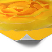 Romantische gelbe Rosentropfen Poster (Ecke)