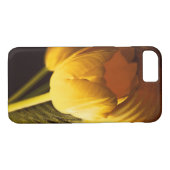 Romantische Gelbtuppe Case-Mate iPhone Hülle (Rückseite (Horizontal))