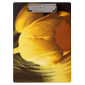 Romantische Gelbtuppe Klemmbrett (Vorderseite)