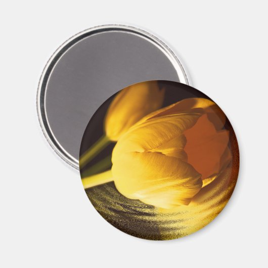 Romantische Gelbtuppe Magnet (Vorderseite/Rückseite)