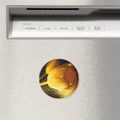 Romantische Gelbtuppe Magnet (In Situ (Geschirrspüler))