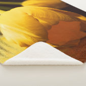 Romantische Gelbtuppe Sherpadecke (3/4)