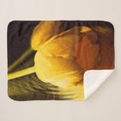 Romantische Gelbtuppe Sherpadecke (Vorderseite (Horizontal))