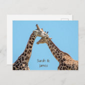 Romantische Giraffe Hugs Personalisiert Postkarte (Vorne/Hinten)
