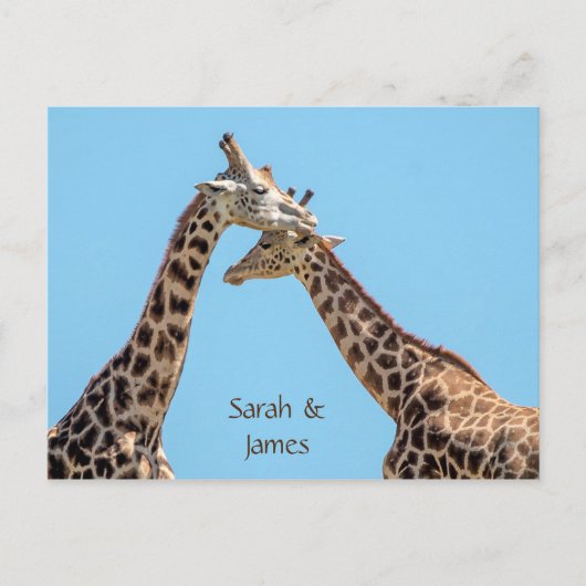 Romantische Giraffe Hugs Personalisiert Postkarte (Vorderseite)