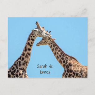 Romantische Giraffenumarmungen Personalisiert Postkarte