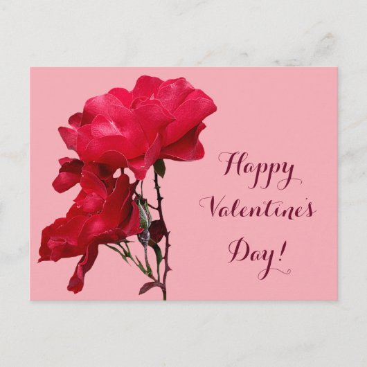 Romantische Happy Valentine rote Rose Blume Postkarte (Vorderseite)