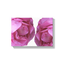 Romantische hübsch rosa Rosen, einfach, modern und