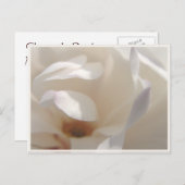 Romantische Ivory Magnolia Save the Date Ankündigungspostkarte (Vorne/Hinten)