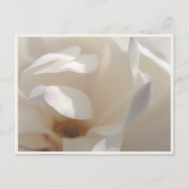 Romantische Ivory Magnolia Save the Date Ankündigungspostkarte
