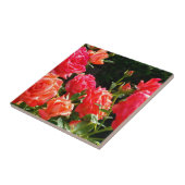 Romantische Korallen-Rose Fliese (Seite)