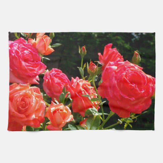Romantische Korallen-Rose Handtuch (Horizontal)