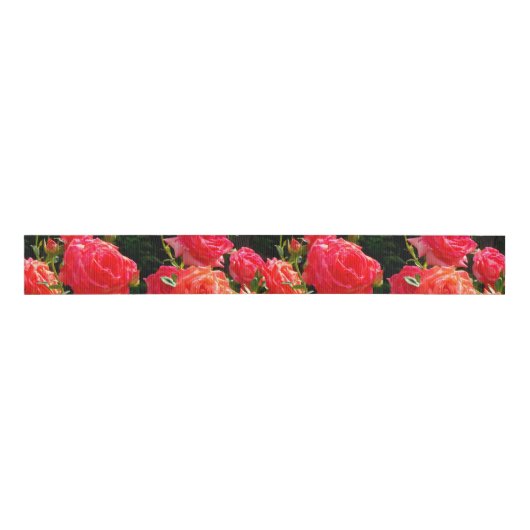 Romantische Korallen-Rose Ripsband (Vorderseite)