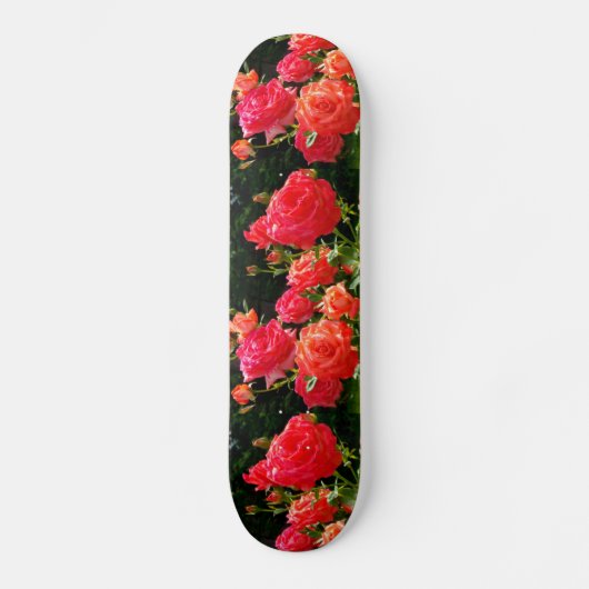 Romantische Korallen-Rose Skateboard (Vorderseite)