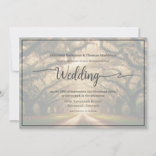 Romantische Live Oak Canopy String Lit Wedding Einladung (Rückseite)