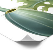 Romantische Mohnblumen Blume Blossom Poster (Ecke)