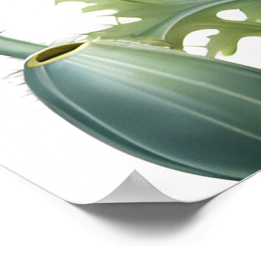 Romantische Mohnblumen Blume Blossom Poster (Ecke)