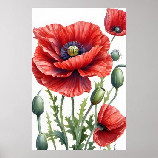 Romantische Mohnblumen Blume Blossom Poster (Vorne)
