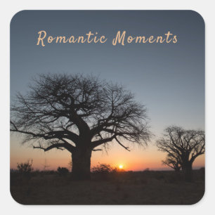 Romantische Moments Sunset Sacred Baobabs Foto Quadratischer Aufkleber